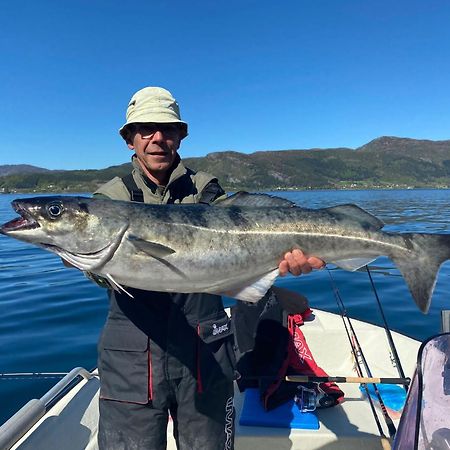 Troll Fjordhytter Syvde Esterno foto
